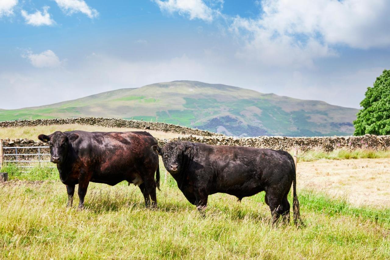 The Dalesman Country Inn Sedbergh Exterior photo